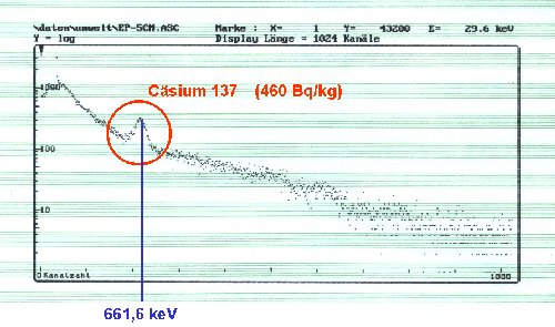 Erdprobe mit, wenn auch geringer, Csium 137 Belastung